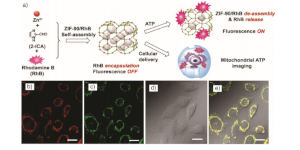 Application_nanoscale_MOF_Imaging_Agents_WEB