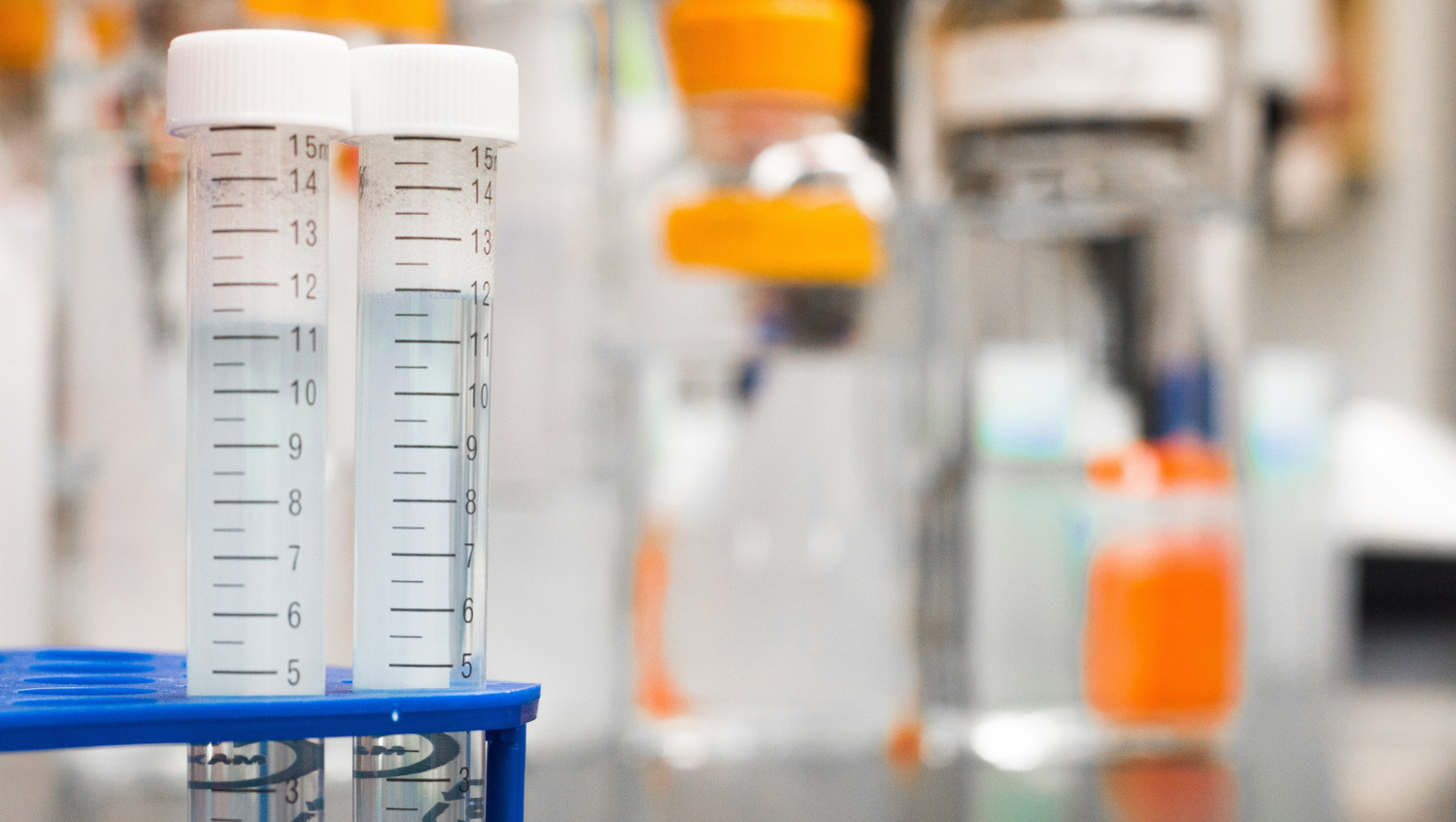 Bio-inspired porous catalysts