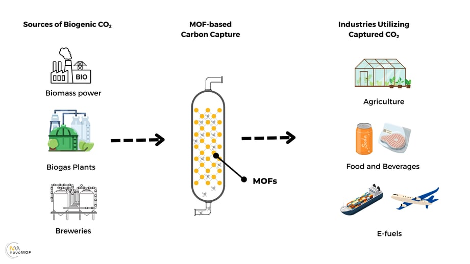 Capture and use of biogenic co2