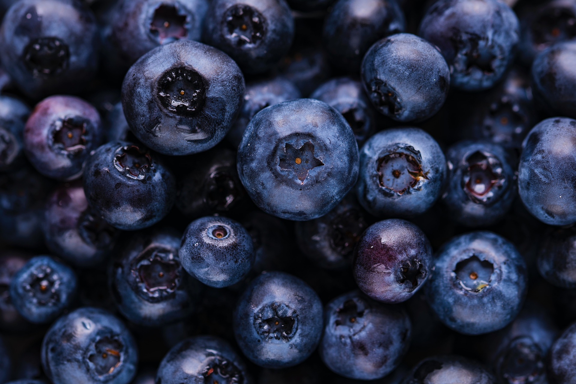 Increasing the shelf-life with innovative MOF packaging