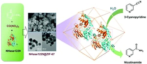 Graphical Abstract Biomimetic mineralization of nitrile hydratase into a mesoporous cobalt-based metal-organic framework for efficient biocatalysis