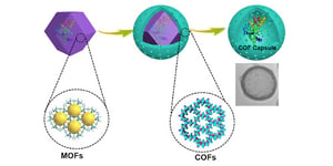 Fabricating Covalent Organic Framework Capsules with Commodious Microenvironment for Enzymes