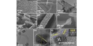 Confined Catalysts Inside CNTs Derived from 2D Metal-Organic Framework for Electrolysis