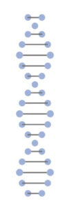 Schematic image of DNA
