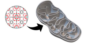 Design of a Functionalized Metal–Organic Framework System for Enhanced Targeted Delivery to Mitochondria