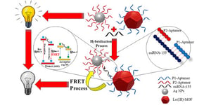 Ultrasensitive Fluorescent miRNA Biosensor Based on a “Sandwich” Oligonucleotide Hybridization and Fluorescence Resonance Energy Transfer Process Using an Ln(III)-MOF and Ag Nanoparticles for Early Cancer Diagnosis: Application of Central Composite Design