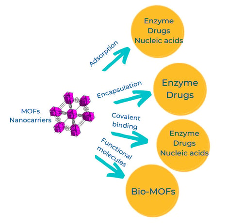 MOFs nanocarrier strategies