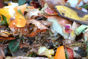 Organic_Waste_WEB