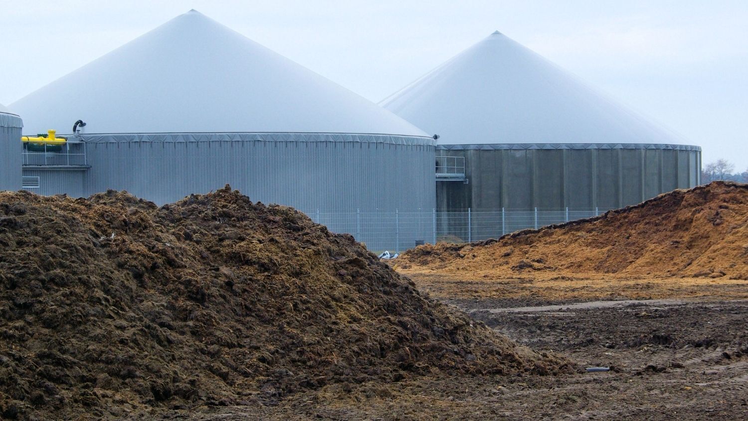 Capturing biogenic CO₂