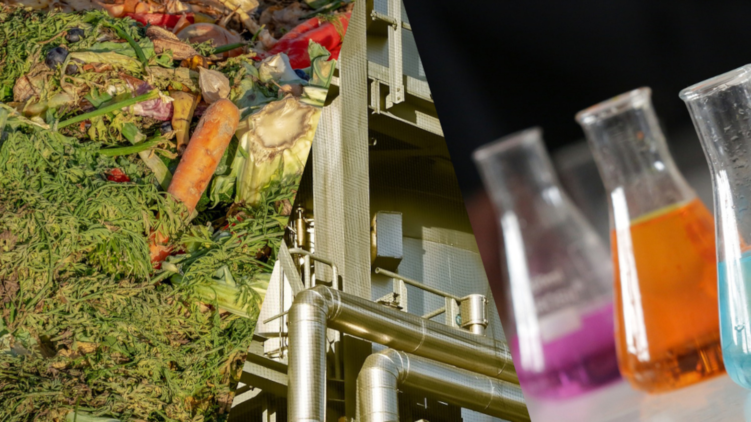 From bio-waste to fine chemicals
